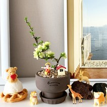 미니 백 장수매 흰꽃 명자나무 분재 화분 봄꽃 식물 입문용 분재나무, 1개