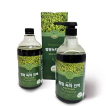 국산 하동 녹차 원액 진액 농축액 엑기스 전용펌프, 1000g, 1병