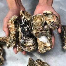 S급 제철굴 석화 5kg 10kg 하프쉘 반각굴 통영굴 여수석화, S급 석화 5kg, 1개