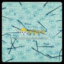 (밥풀)닭의 장풀(자주달개비) 프레파라트/KSIC-6535