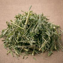 국산 야관문(비수리) 100g 비수리 야간문 야관문주 술 말린 건조 건 차 한방 약초, 12UZ_국)야관문100g