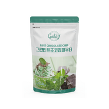 가비제이 그린민트초코칩파우더 800g