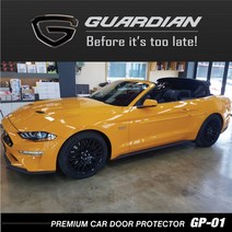 포드 머스탱 전용 가디언 도어가드, MAGNETIC - 27번