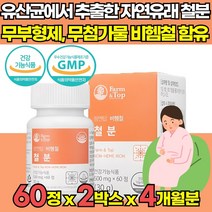 무부형제 유산균배양 자연유래 철분 비헴철 유기농 부원료 철분제 임산부 임신 준비 초기 중기 후기 수유부 모유수유 출산후 어린이 청소년 가임기 20대 30대 여성 여자 영양제, 60캡슐 X 2박스 (2개월분)