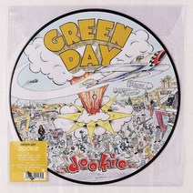 Green Day Band Green Day Dookie Limited Color 풀 페인팅 LP