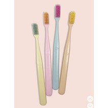 리더스 치과칫솔 보건소납품 12개 친환경칫솔 생분해 이중슬림모 칫솔, 1개