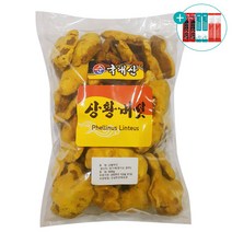 국내산 상황버섯 분말 100% 국산 장수 상황 버섯 베타글루칸 에너지 물 진액 차 가루 선물세트 실속형 대용량, 원물 500g, 1개