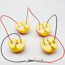 과일 전지 LED 실험 세트