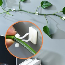 벽면 넝쿨고정클립(10P) 줄기고정