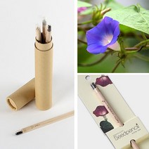 꿈쟁이 지관필통 씨앗연필 3P 식물기르기 방울토마토 허브바질 해바라기 나팔꽃 봉선화
