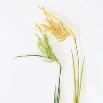 영영하우스 인조벼, 연두벼(1입)