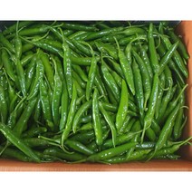 가락싱싱 국내산 청양고추 (특)400g 1kg 땡초 매운청양고추, 청양고추1kg