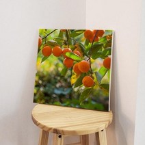 아트박스/꾸밈 bh002-캔버스액자30x30_네츄럴감나무