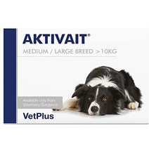 Vetplus Aktivait 액티베이트 60캡슐 중대형견용, 60개입(1팩)