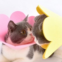 초경량 고양이 강아지 푸들 동물병원 넥카라 깔대기 깔때기 목보호대, 상품선택, 6펠트펫넥카라-핑크L