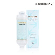 바디빔 비타민 샤워기필터 국내산 피부보습_무향, 비타민 샤워필터 무향