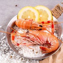 제주도 자연산 손질 딱새우 횟감용 급냉 순 새우살 140g 500g 산지특송, 급냉 (미손질) 딱새우 500g 30미 내외