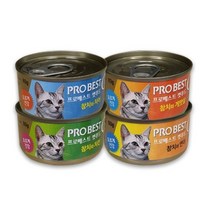 프로베스트 캣푸드 고양이 간식캔, 참치 + 치킨 혼합맛, 30개