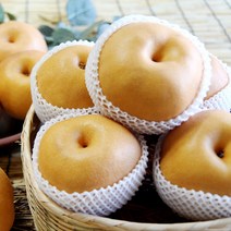 소담촌 2023 수확 햇배(가정용/흠과), 1박스, 5kg(7~8과)/중대과