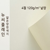뉴씨플레인 종이문화 얇은 양면색지 120g 4절 낱장 1매 No.51 백색, 1장