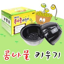 콩나물키우기-키트 국산콩 식물기르기 관찰 재배체험 DIY 유치원 어린이집 집콕놀이, 1개