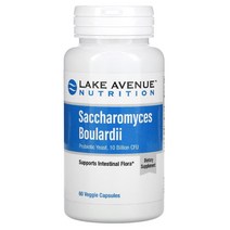 LAKE AVENUE NUTRITION 레이크 애비뉴 뉴트리션 사카로마이세스 보울라디 프로바이오틱 효모 100억 CFU 60