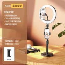 휴대용 led 카메라조명 지속광 영상촬영장비, 20cm 링라이트 듀얼캠 데스크탑