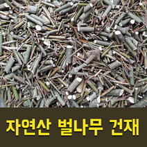 강원도 영월 자연산 벌나무 건재 (산청목), 국내 자연산 벌나무 건재 250g(4봉지)
