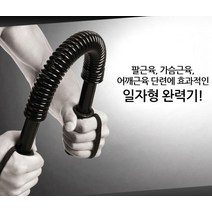 전완근 가슴운동 팔운동 악력 완력기 홈트레이닝 20kg 일자형 근력기, 단품