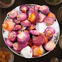 국산 남해 통영 생가리비 택배 배달 제철 가리비 1kg, 2kg