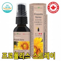 캐나다직수입 팜그린 프로폴리스 스프레이 플라보노이드17mg 항산화 구강 항균작용 원액