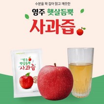 영주햇살듬뿍 사과 즙 100ml 농축액 액기스 과일즙 쥬스 과일 주스, 30개