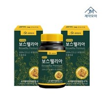 관절 연골 무릎엔 더 튼튼한 프리미엄 보스웰리아 1000 60정, 2박스