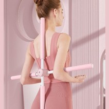 스파인 스트레칭바 전신 스트레칭 척추건강 지압, 블루