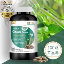 씨져스 로얄캐네디언 캐나다 시서스 100배 농축300캡슐 시저스가루 캐나다 시서스 캡슐 300정 고농축 씨저스+사은품, 300캡슐