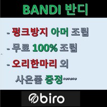재고전화문의 필수 / 2022BIRO 바이로전기자전거 Bandi A 스완타입 DUAL모드 20인치_17Ah, 화이트