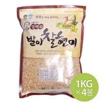 참쌀닷컴 장세순 발아찰현미 4kg (1kg x 4봉), 4개