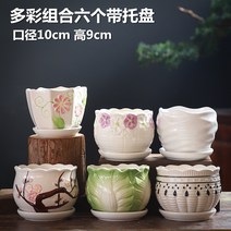 도자기 접시 화분 있음 트레이 팬시 고기 식물 그린 뤄 심플 블루 가정용 소다육 1663842512, SJH 콤비네이션 6개