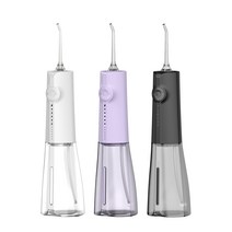 단미 구강세정기 클린픽 휴대용 구강세척기 300ml CLS07Y, 퍼플