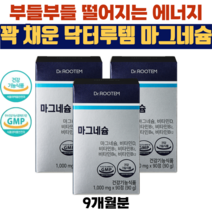 닥터루템 마그네슘 315mg 비타민D 비타민B6 비타민B12 이중배합 1일 섭취량 100%, 3박스(9개월분)