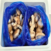 송이송향버섯(송화버섯 송고버섯) 농가직송 무농약친환경, 1box, 알뜰형(식당용)2kg