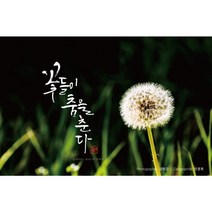 헬로우하비 캔버스 보석십자수 30X40, 특가11. 캘리 민들레 홀씨