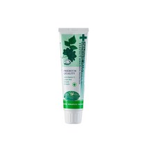 덴티스테 플러스 화이트 치약 튜브형, 100g, 5개