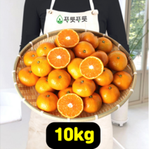 푸릇푸릇 2022년 귤 제주 감귤 한라봉 제주도귤 노지감귤 극조생귤 5kg 10kg, 제주감귤, LL사이즈
