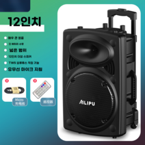 버스킹 스피커 마이크 캐리어타입 성능 행사용 고급, 12인치야외전용+리모컨+충전케이블