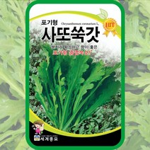 사또 쑥갓씨앗 분지형 쑥갓종자 15g 채소씨 봄 여름 가을 사계절 년중재배 쌈채소키우기, 단품