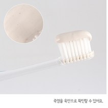 죽염종가 인산죽염치약, 인산죽염 대소금치약 160g 10개