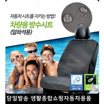 반려견동반여행 스키장준비물 바닷가휴가 빠지준비물 운전석방수시트 조수석방수시트
