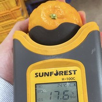 제주 수라향 16브릭스이상 고당도 설국향 신비향, 가정용혼합5kg