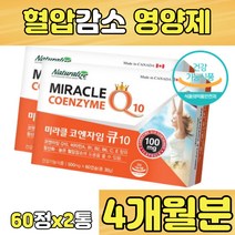 코엔자임 Q10 큐텐 비타민 A B C E 항산화 혈압 감소 낮추기 정상혈압 코큐텐 코앤자임 COENZYME 코큐10 코엔자임큐 노인 실버 시니어 남자 여자 알약 캡슐 정
